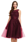 Illusion-Back Lace-Applique Tulle A-Line Homecoming Dress