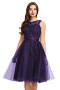 Amethyst Illusion-Back Lace-Applique Tulle A-Line Homecoming Dress
