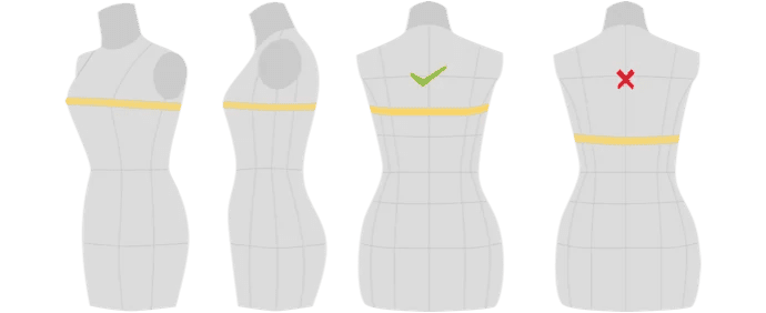 Bust: measurement guide