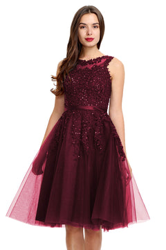 Illusion-Back Lace-Applique Tulle A-Line Homecoming Dress