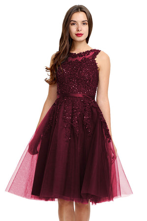 Illusion-Back Lace-Applique Tulle A-Line Homecoming Dress