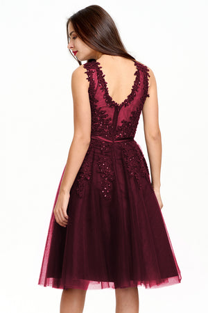 Illusion-Back Lace-Applique Tulle A-Line Homecoming Dress
