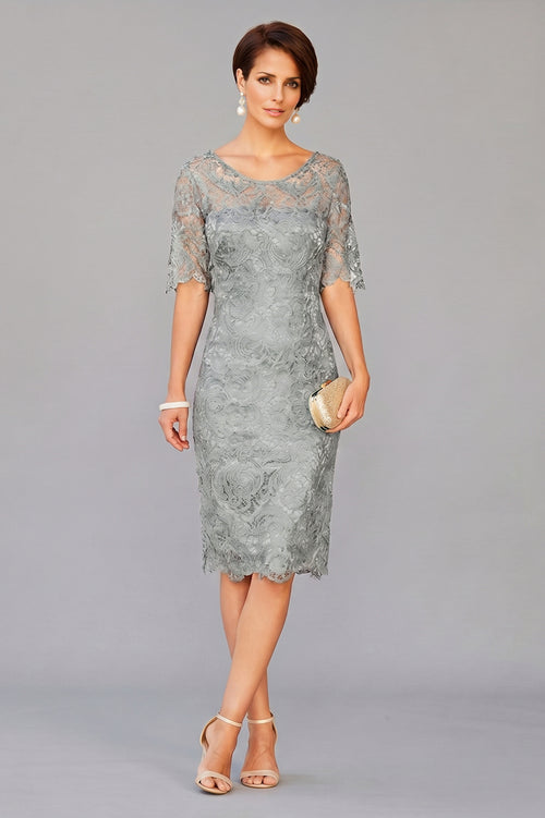 Silver Short Half-Sleeve Lace Sheath Mother of the Bride Dress