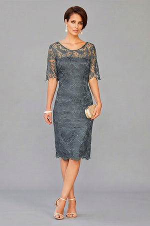 Short Half-Sleeve Lace Sheath Mother of the Bride Dress