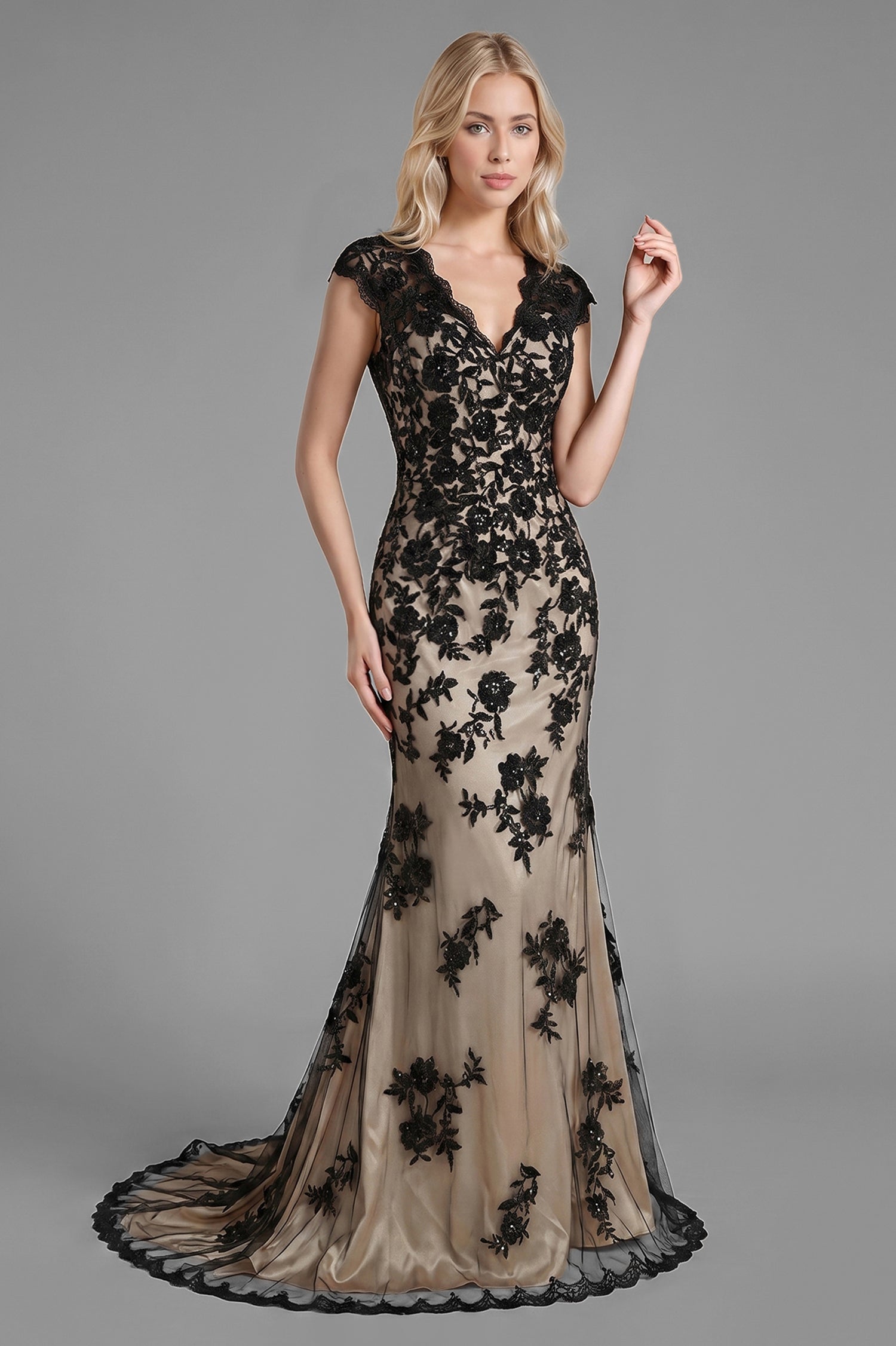 V-neck Lace Sleeveless Sweep Train Mother of the Bride Dresses Main image