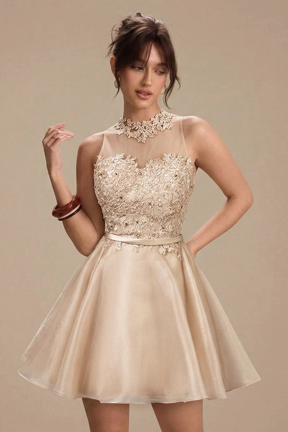 Short Lace and Organza A-Line Homecoming Dress with Illusion Neckline