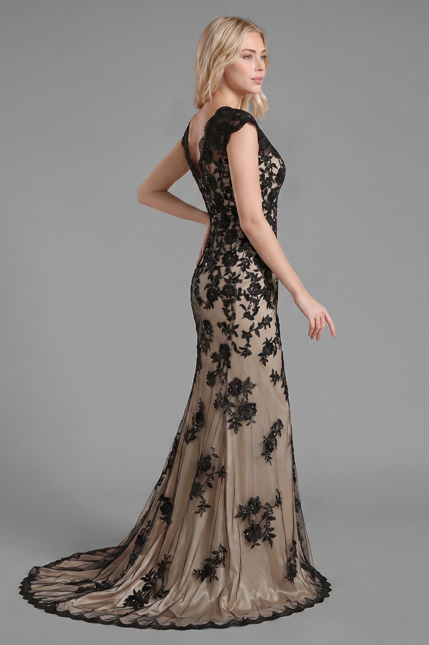 V-neck Lace Sleeveless Sweep Train Mother of the Bride Dresses Secondary image