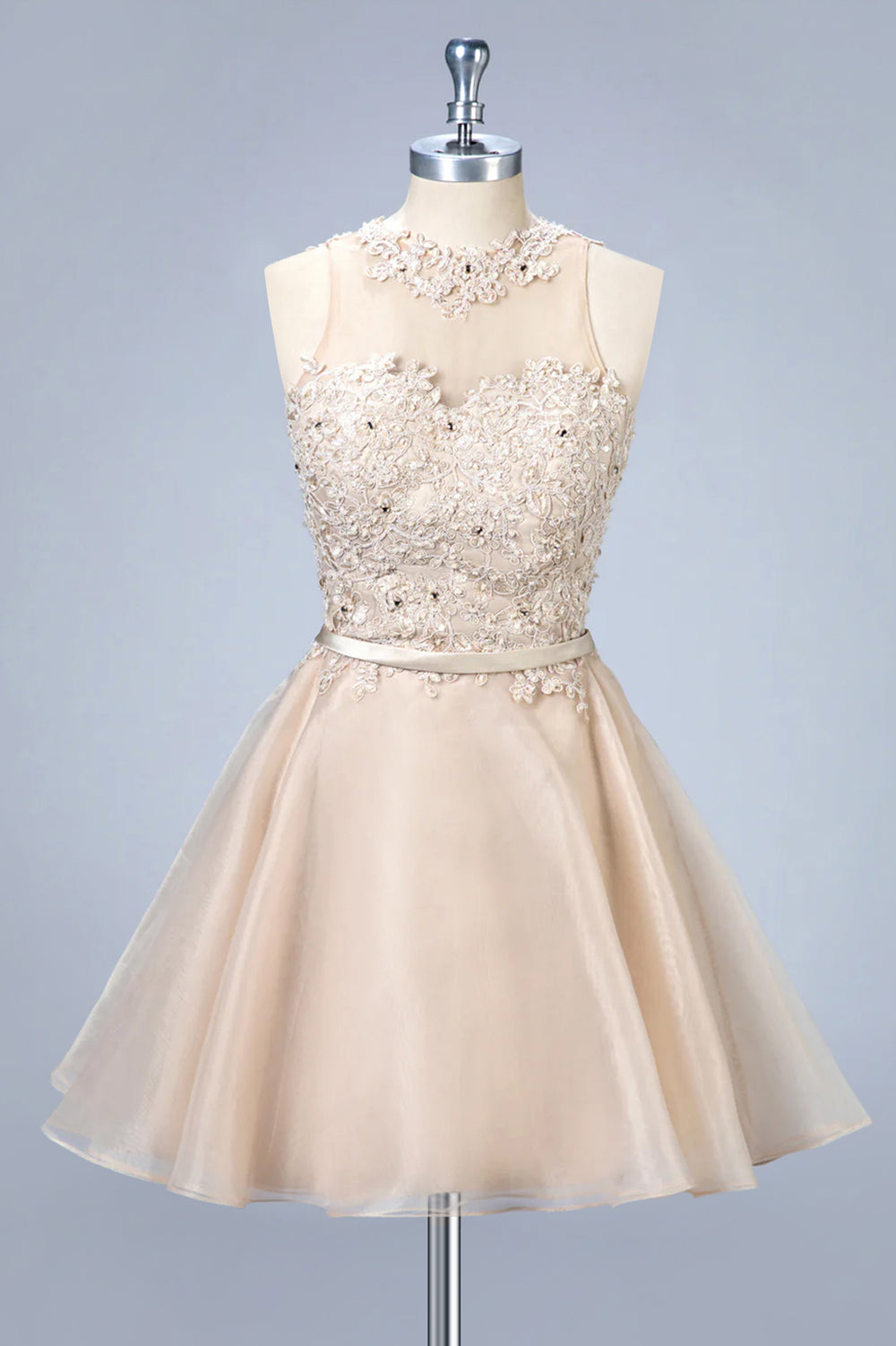Short Lace and Organza A-Line Homecoming Dress with Illusion Neckline