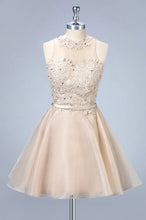 Short Sleeveless Applique Homecoming Dresses