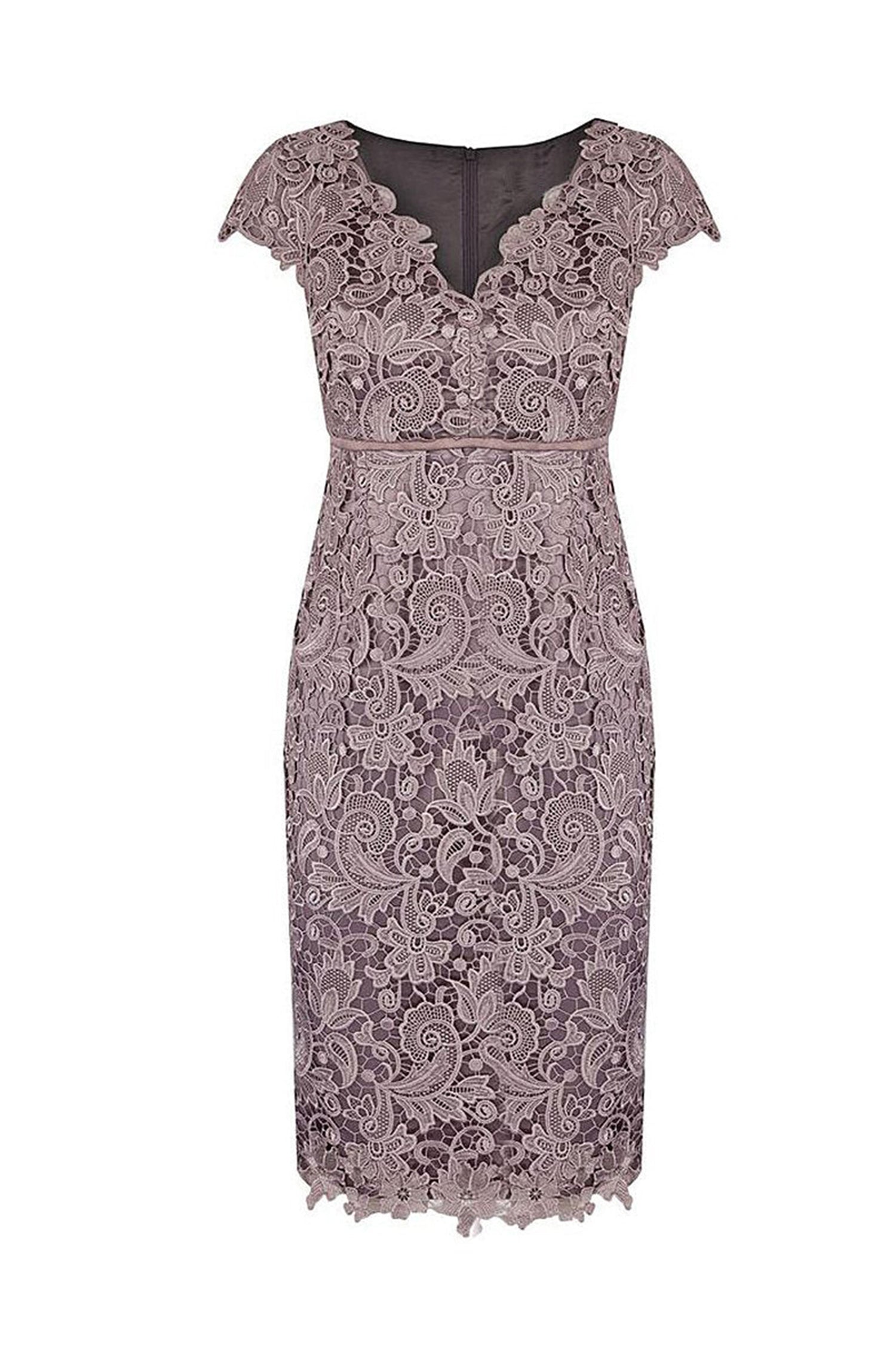 Elegant Lace V-neck Mother of the Bride Dresses Main image