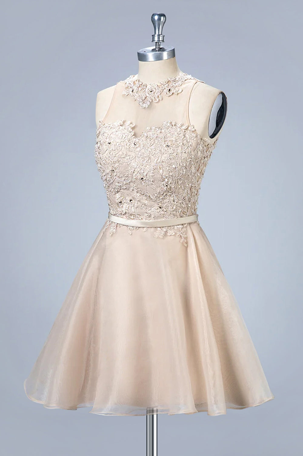 Short Lace and Organza A-Line Homecoming Dress with Illusion Neckline