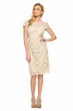 Short Length Lace Mother Dress