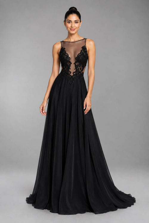 Open-Back Lace and Tulle A-Line Evening Dress