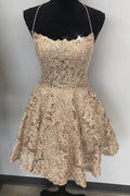Champagne Lace-Up Lace A-Line Mini Homecoming Dress