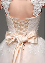 Ball Gown Sleeveless Beading Waistband Lace Applique Long Wedding Dresses
