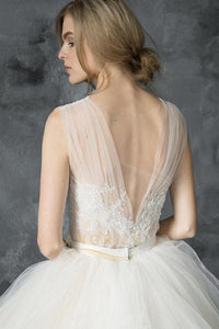 Champagne Soft Tulle & Lace Wedding Dresses with Illusion Straps