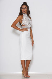 Sexy Lace Back Zipper Closure Cocktail Dresses