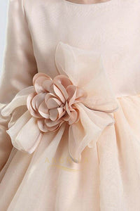 Champagne A-line/Princess Long Sleeves Flower Girl Dresses with Handmade Flowers
