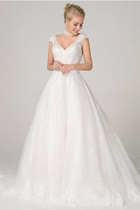 Ball-Gown/Princess V-neck Long Train Tulle Wedding Dress with Lace