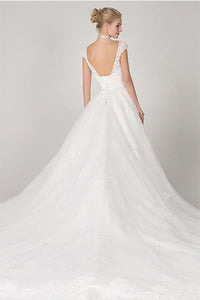 Ball-Gown/Princess V-neck Long Train Tulle Wedding Dress with Lace