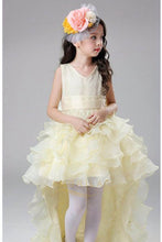 High Low Organza V-Neck Ball Gown Flower Girl Dresses