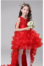 High Low Organza V-Neck Ball Gown Flower Girl Dresses