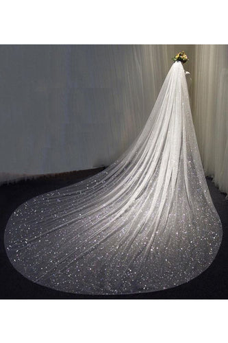 Sparkly Long Bridal Wedding Veils