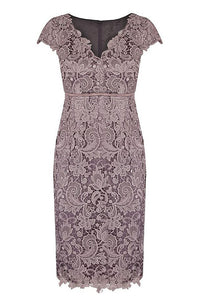 Elegant Lace V-neck Mother of the Bride Dresses