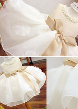 A-Line/Princess Chiffon Sleeveless Short Flower Girl Dresses Bow(s)