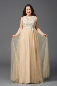 A-Line/Princess Tulle  Scoop Neck Plus Size Dresses