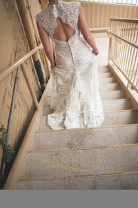 A-line/Princess V-neck Lace Wedding Dresses with Big Train